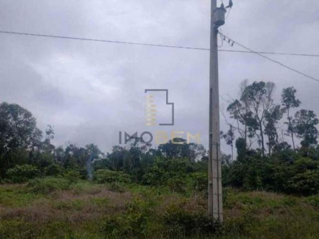 Sítio e chácara venda em Região Geográfica Imediata de Sinop, Santa Carmem