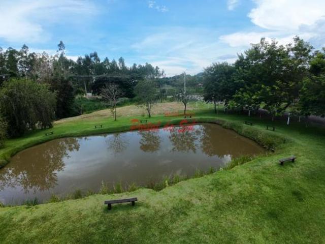 Sítio e chácara venda em Santo Antônio da Platina, Região Geográfica Intermediária de Londrina