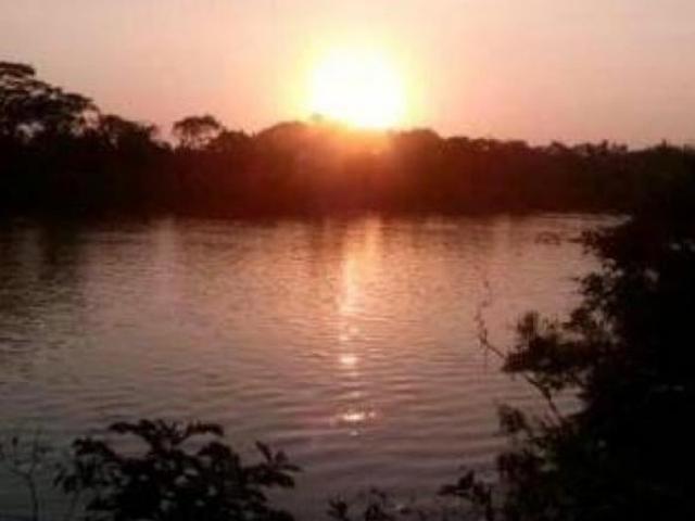 Sítio e chácara venda em Santo Antônio de Leverger, Região Geográfica Intermediária de Cuiabá