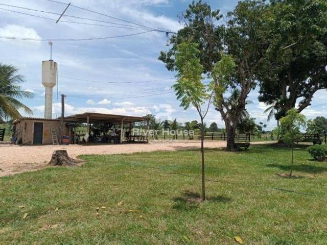 Sítio e chácara venda em Santo Antônio de Leverger, Região Geográfica Intermediária de Cuiabá