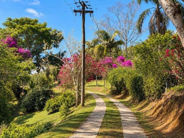 Sítio e chácara venda em Santo Antônio do Pinhal