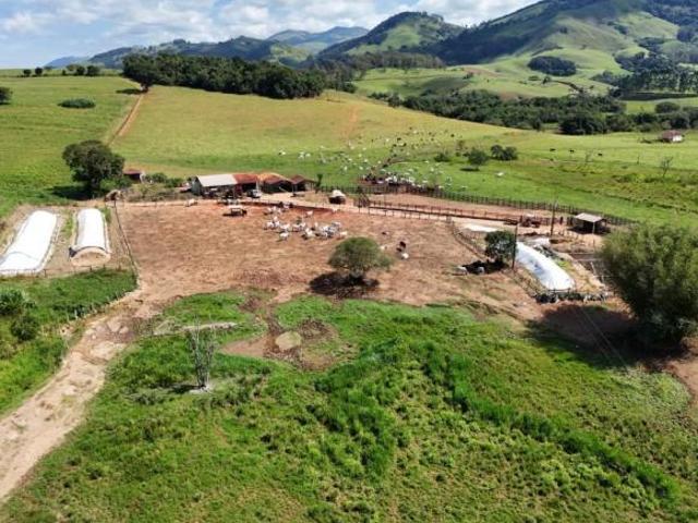 Sítio e chácara venda em Senador José Bento, Região Geográfica Intermediária de Pouso Alegre
