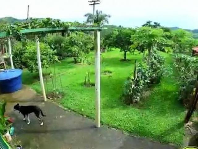 Sítio e chácara venda em Jardim Luciola, Serra Negra