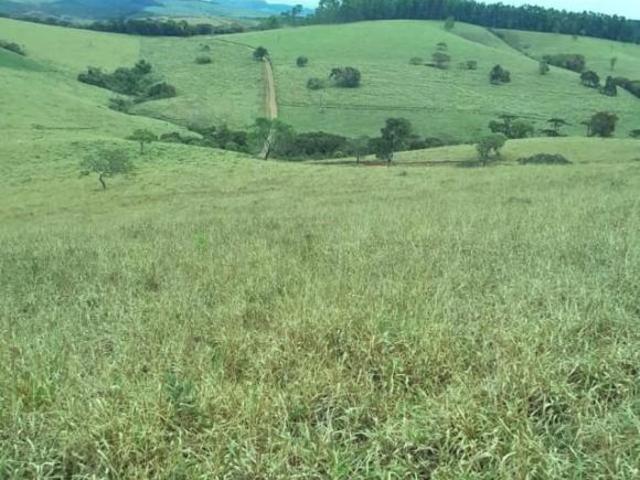 Sítio e chácara venda em Serranos