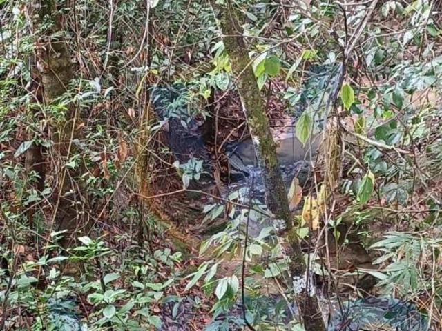 Sítio e chácara venda em Região Geográfica Imediata de Anápolis, Silvânia