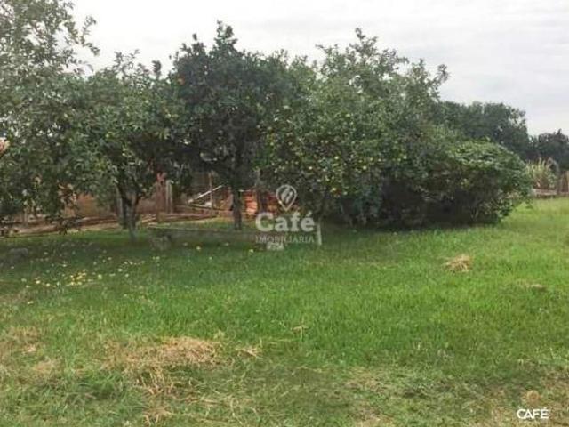 Sítio e chácara venda em Região Geográfica Imediata de Santa Maria, Silveira Martins