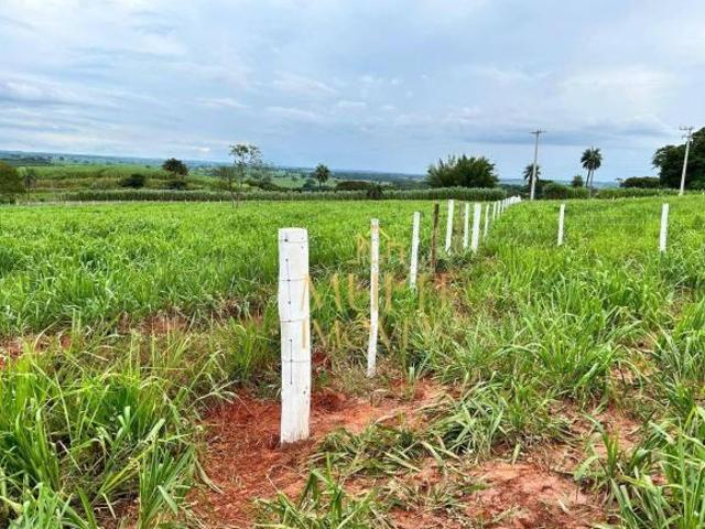 Sítio e chácara venda em Região Imediata de São José do Rio Preto, Região Metropolitana de São José do Rio Preto