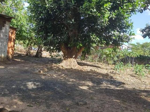 Sítio e chácara venda em Região Geográfica Imediata de Tangará da Serra, Tangará da Serra