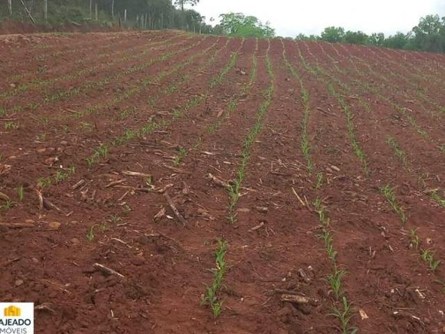 Sítio e chácara venda em Região Geográfica Imediata de Caxias do Sul, São Marcos