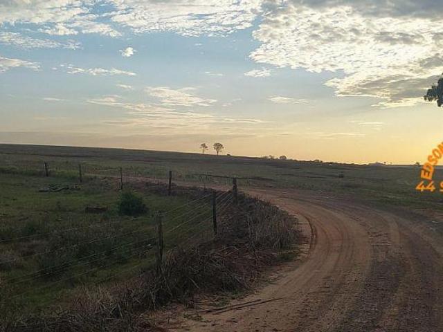 Sítio e chácara venda em Região Geográfica Imediata de Toledo, Terra Roxa