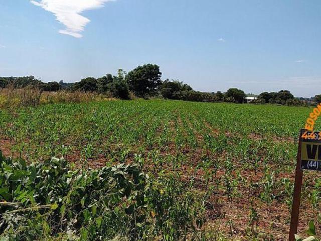 Sítio e chácara venda em Região Geográfica Imediata de Toledo, Terra Roxa