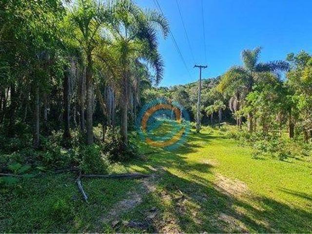 Sítio e chácara venda em Região Geográfica Imediata de Curitiba, Região Metropolitana de Curitiba
