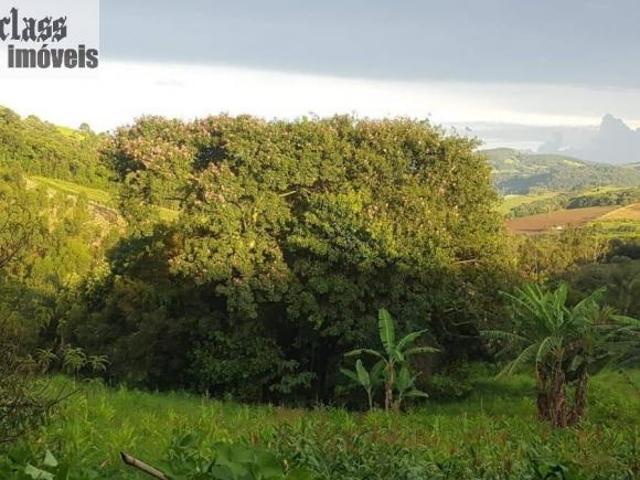 Sítio e chácara venda em Região Geográfica Imediata de Pouso Alegre, Região Sudeste