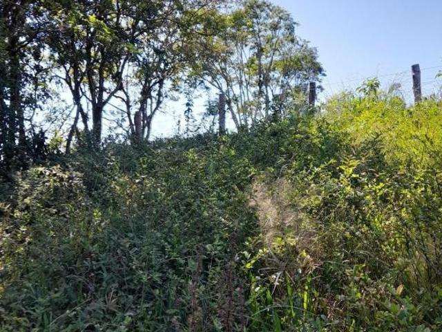 Sítio e chácara venda em Região Geográfica Imediata de Linhares, João Neiva