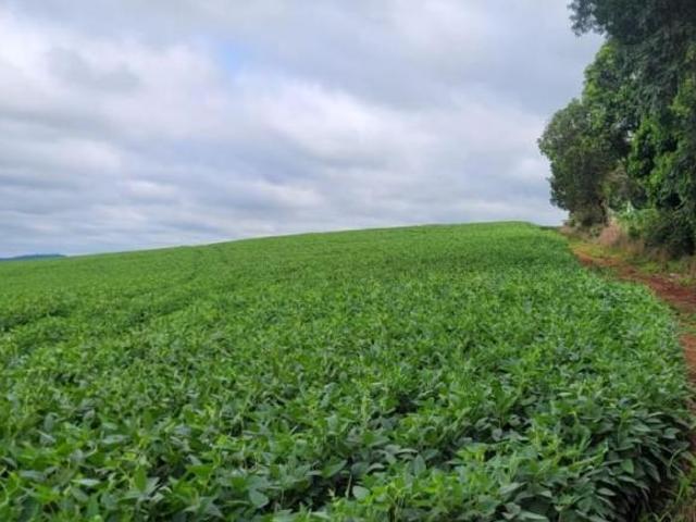 Sítio e chácara venda em Região Geográfica Imediata de Pouso Alegre, Turvolândia
