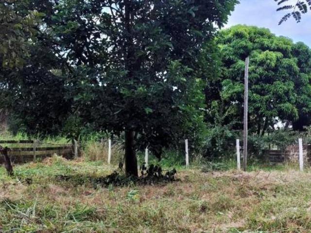 Sítio e chácara venda em Região Geográfica Imediata de Uberlândia, Oliveira Fortes