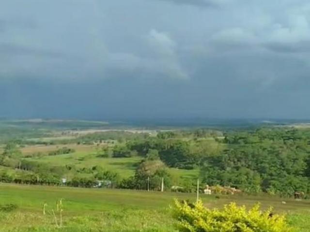 Sítio e chácara venda em Região Geográfica Imediata de Uberlândia, Oliveira Fortes