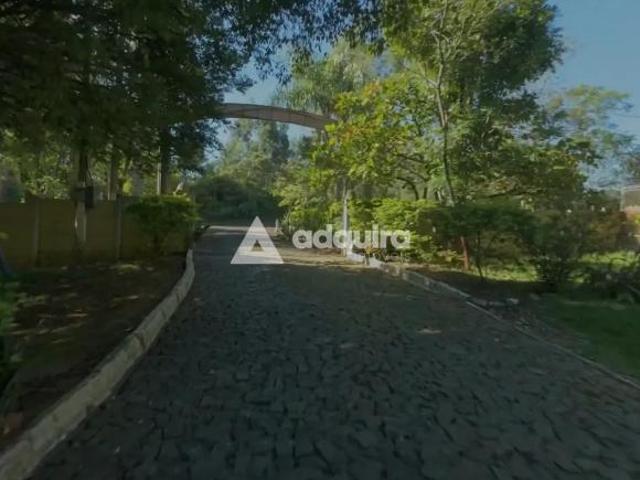 Sítio e chácara venda em Uvaia, Ponta Grossa