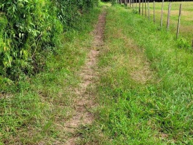 Sítio e chácara venda em Vera Cruz