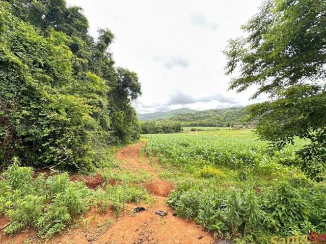 Sítio e chácara venda em Região Geográfica Imediata de Santa Cruz do Sul, Vera Cruz