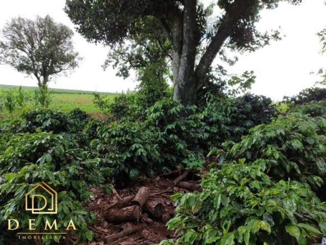 Sítio e chácara venda em Região Geográfica Imediata de Cascavel, Vera Cruz do Oeste