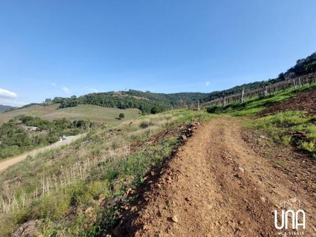 Sítio e chácara venda em Faria Lemos, Bento Gonçalves