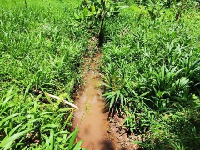 Sítio e chácara venda em Região Geográfica Imediata de Pouso Alegre, Pouso Alegre