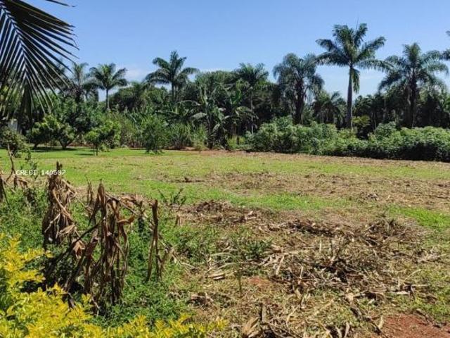 Sítio e chácara venda em Centro, Cesário Lange
