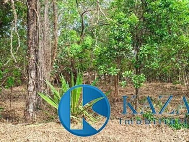 Sítio e chácara venda em Região Geográfica Imediata de Luziânia, Região Integrada de Desenvolvimento do Distrito Federal e Entorno