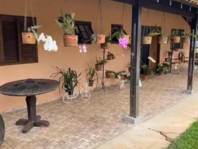 Sítio e chácara venda em Assentamento Araçá, Araçatuba