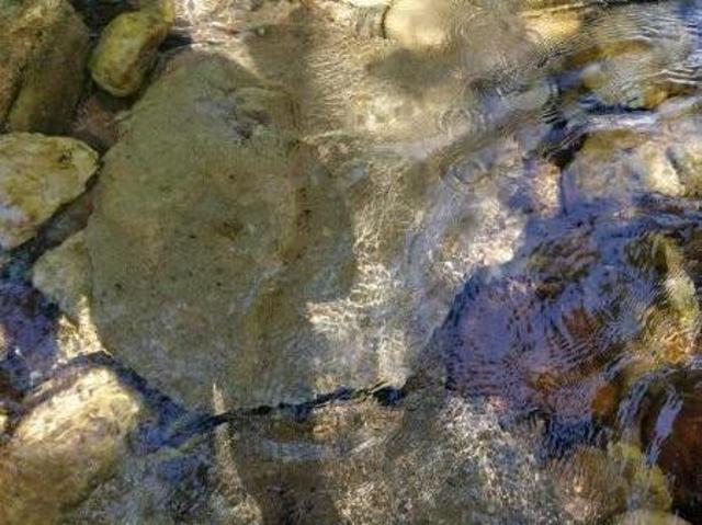 Sítio e chácara venda em Região Geográfica Imediata de Cuiabá, Região Metropolitana do Vale do Rio Cuiabá