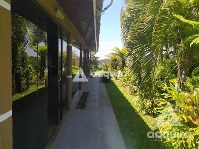 Sítio e chácara venda em Chapada, Ponta Grossa