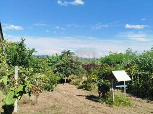 Sítio e chácara venda em Jardim do Bosque, Charqueada