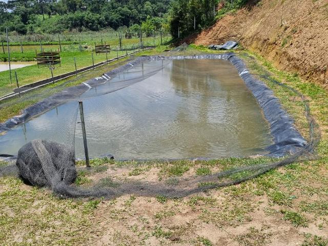 Sítio e chácara venda em Região Geográfica Imediata de Curitiba, Região Metropolitana de Curitiba