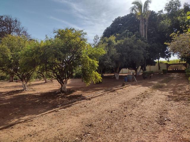Sítio e chácara venda em Região Imediata de Birigui-Penápolis, Birigui