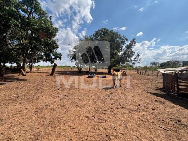 Sítio e chácara venda em Região Geográfica Imediata de Uberlândia, Oliveira Fortes