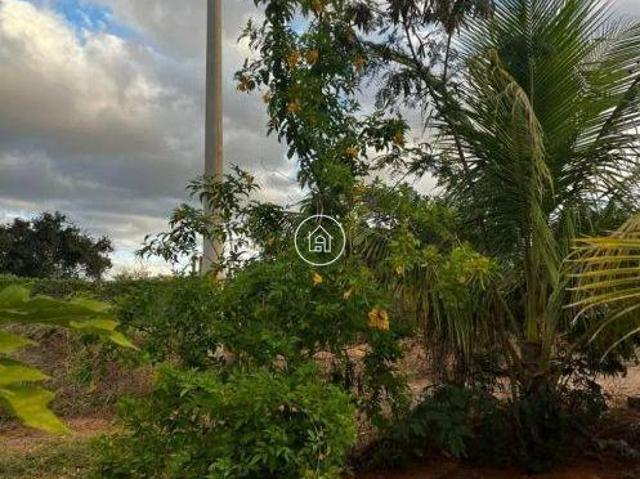 Sítio e chácara venda em Região Geográfica Imediata de Montes Claros, Montes Claros
