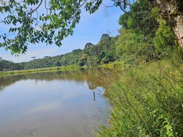 Terreno venda em Região Geográfica Imediata de Curitiba, Região Metropolitana de Curitiba