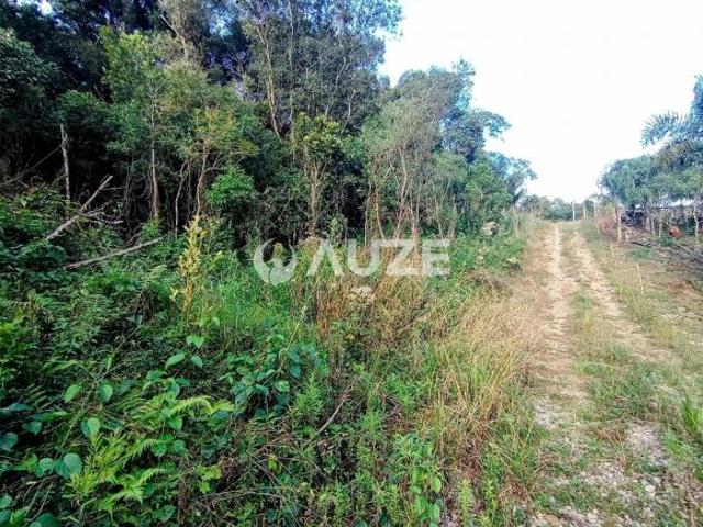 Sítio e chácara venda em Região Geográfica Imediata de Curitiba, Região Metropolitana de Curitiba