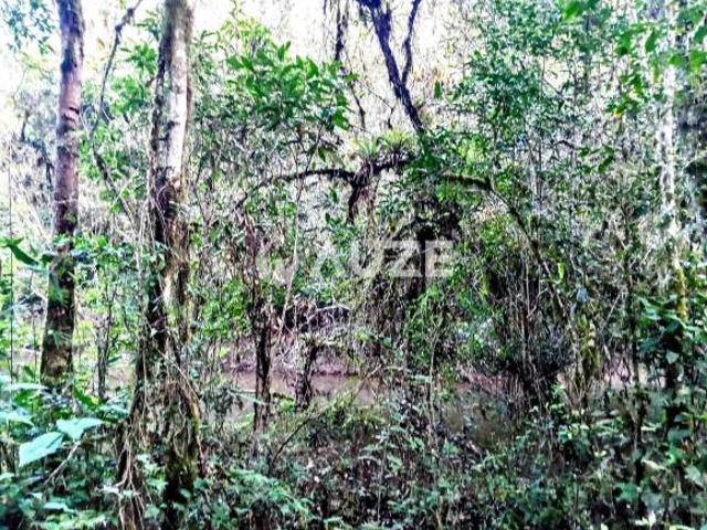 Sítio e chácara venda em Região Geográfica Imediata de Curitiba, Região Metropolitana de Curitiba