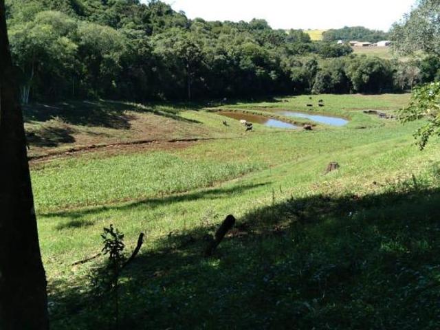 Sítio e chácara venda em Região Geográfica Imediata de Carazinho, Colorado
