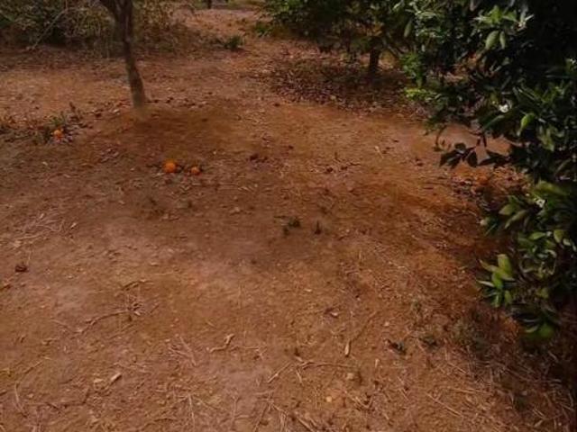 Sítio e chácara venda em Região Geográfica Imediata de Belo Horizonte, Região Metropolitana de Belo Horizonte