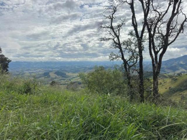 Sítio e chácara venda em Córrego do Bom Jesus
