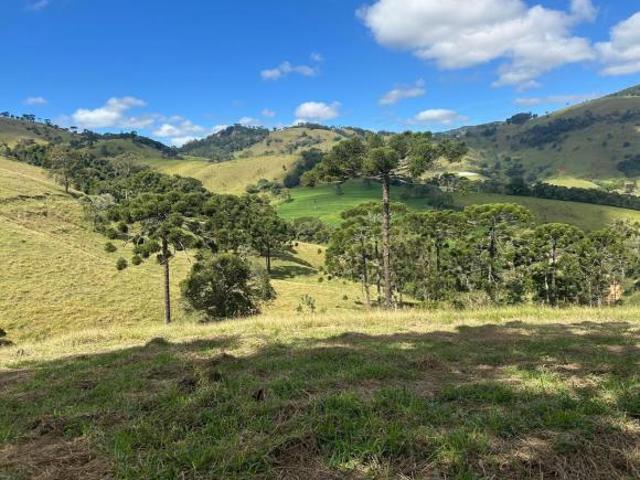 Sítio e chácara venda em Córrego do Bom Jesus