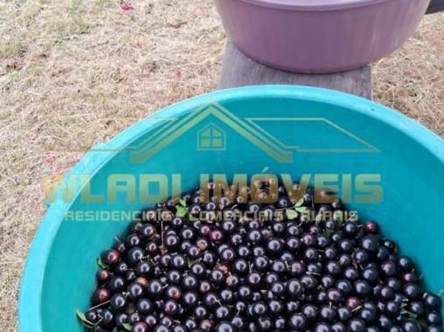 Sítio e chácara venda em Córrego do Bom Jesus, Minas Gerais