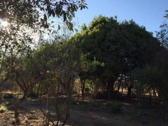 Sítio e chácara venda em Região Geográfica Imediata de Cuiabá, Região Metropolitana do Vale do Rio Cuiabá