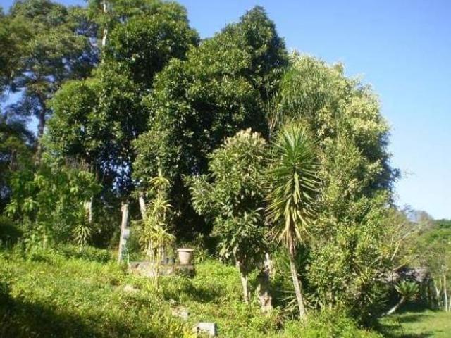 Sítio e chácara venda em Região Imediata de São Paulo, Região Metropolitana de São Paulo
