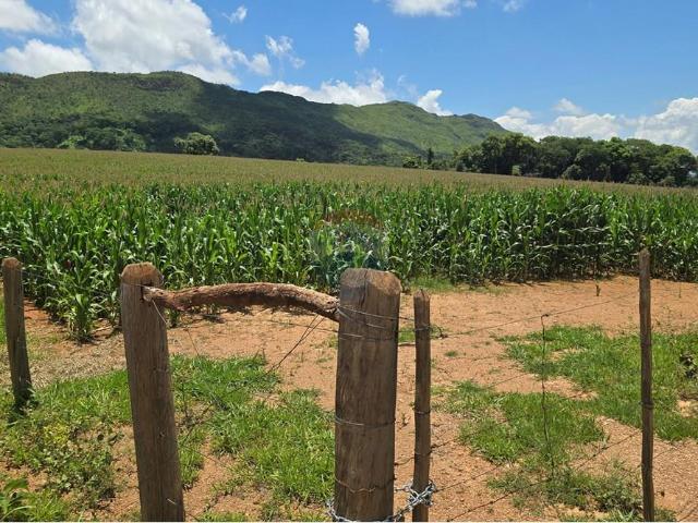 Sítio e chácara venda em Região Geográfica Imediata de Passos, Delfinópolis