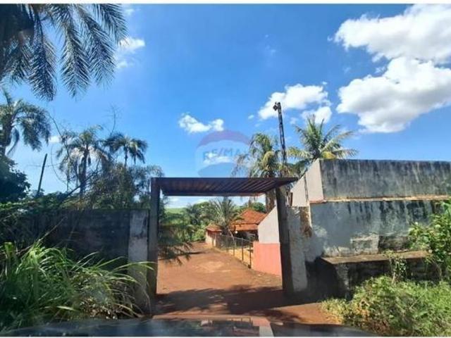 Terreno venda em Região Imediata de Ribeirão Preto, Região Metropolitana de Ribeirão Preto