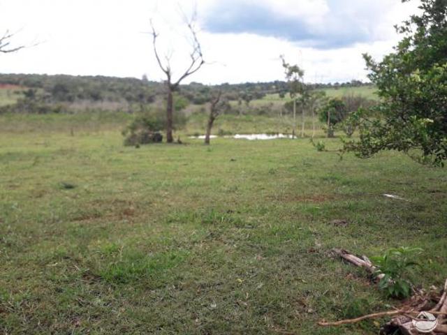 Sítio e chácara venda em Região Geográfica Imediata de Uberlândia, Oliveira Fortes